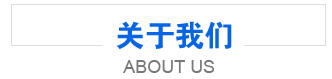 聚氨酯涂料厚涂快干劑在防水涂料和防腐涂料中的應(yīng)用探索，旨在提供快速固化和優(yōu)異的保護性能。